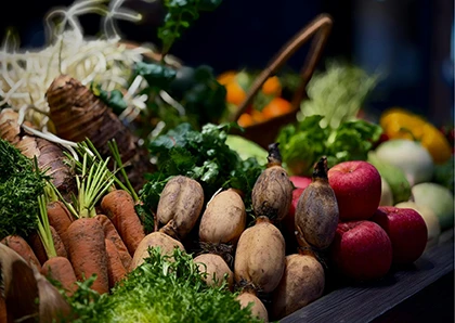 alimentación fertilidad